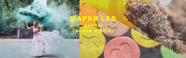 PSILOCYBIN Балабаново