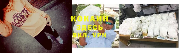 PSILOCYBIN Балабаново
