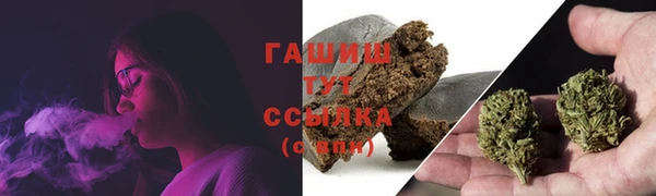PSILOCYBIN Балабаново