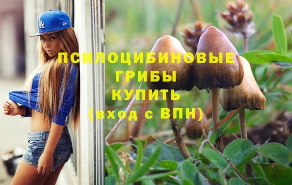синтетический гашиш Балахна