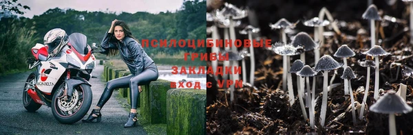 ECSTASY Баксан