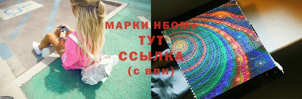 PSILOCYBIN Балабаново