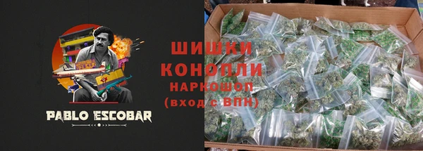 PSILOCYBIN Балабаново