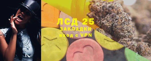 PSILOCYBIN Балабаново