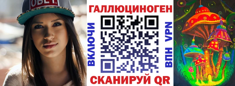 купить  сайты  Юрьев-Польский  Псилоцибиновые грибы Cubensis 
